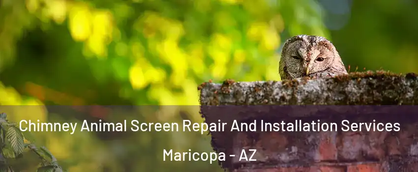  Chimney Animal Screen Repair And Installation Services Maricopa - AZ