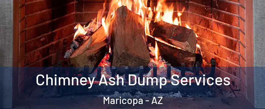  Chimney Ash Dump Services Maricopa - AZ