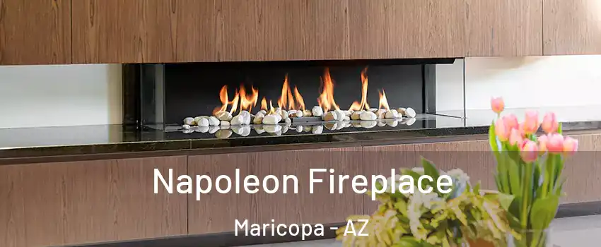  Napoleon Fireplace Maricopa - AZ
